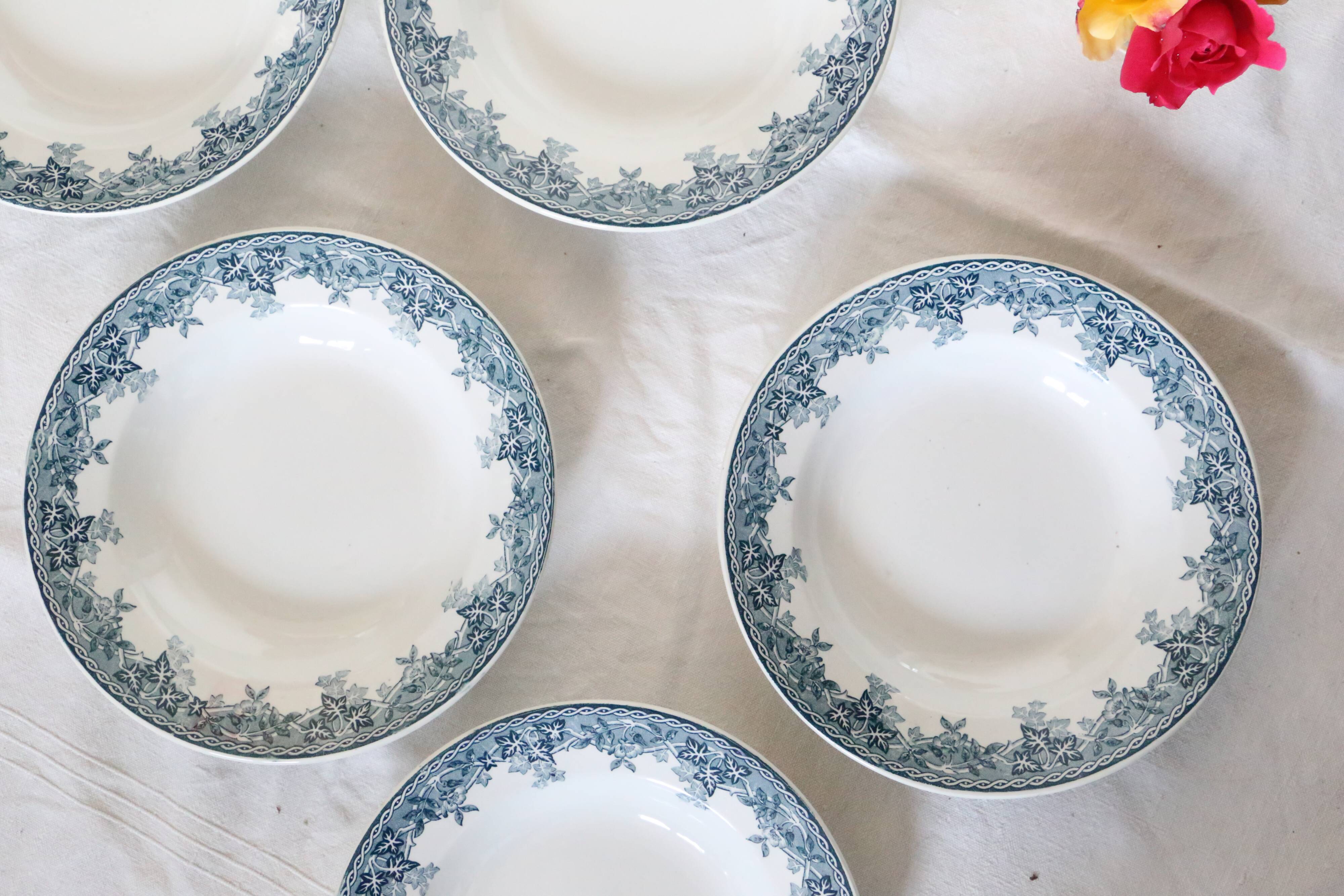 Deep plates x5, iron earth, Estival model from Saint Amand