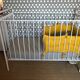 Baudou/Bonpoint bar bed in white metal for children
