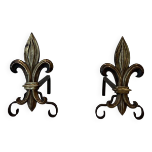 Paire de chenets en bronze - fleur