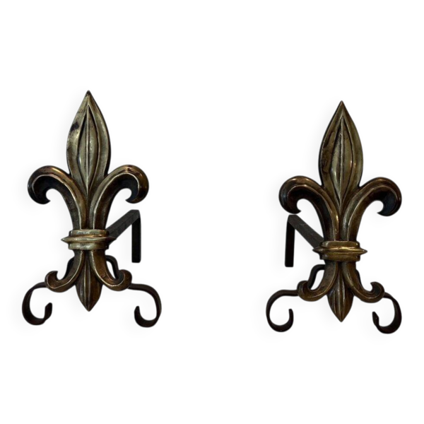 Paire de chenets en bronze et fer forgé fleur de lys, France