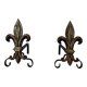 Pair of Bronze and Wrought Iron Chenets with Fleur-de-Lys Supports. France.