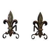 Paire de chenets en bronze et fer forgé fleur de lys, France