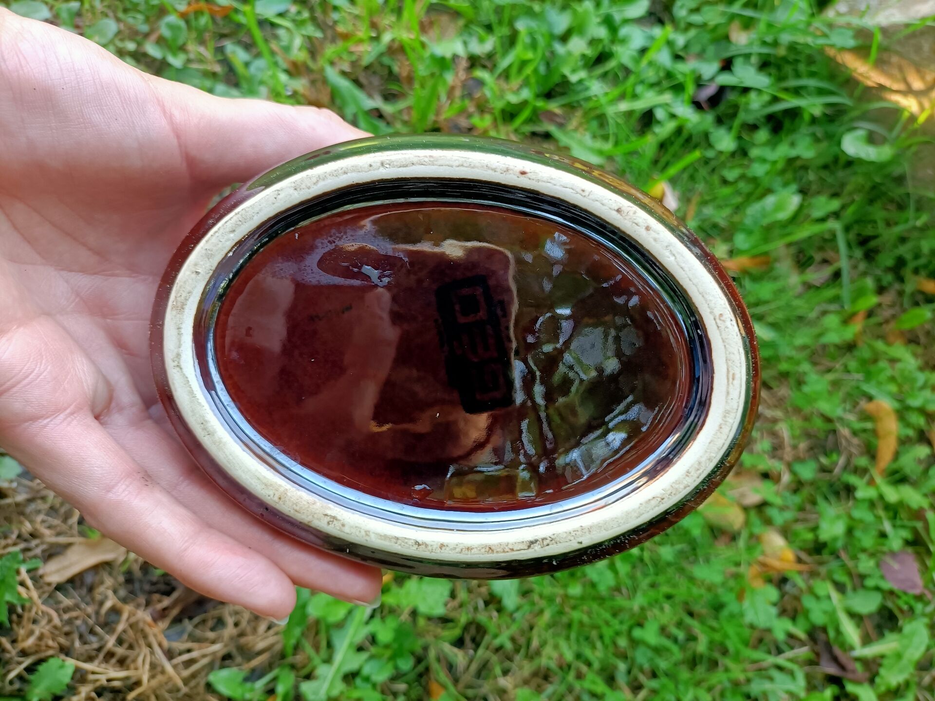 Retro zoomorphic terrine turkey