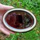 Retro zoomorphic terrine turkey