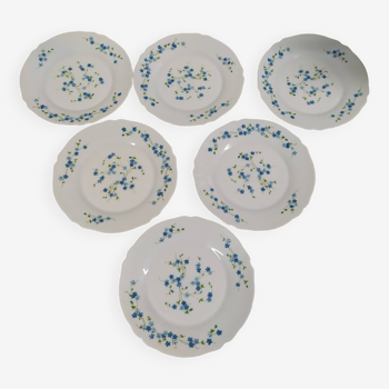 Lot de 6 assiettes plate Arcopal Véronica Myosotis fleur bleu vintage