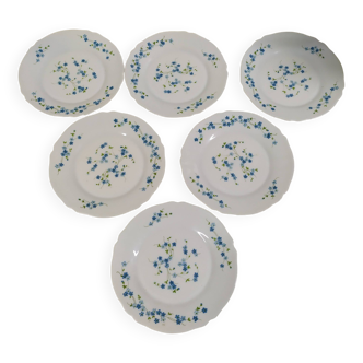 Lot de 6 assiettes plate Arcopal Véronica Myosotis fleur bleu vintage