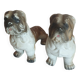 Set of 2 dogs bulldogs tighten biscuit books