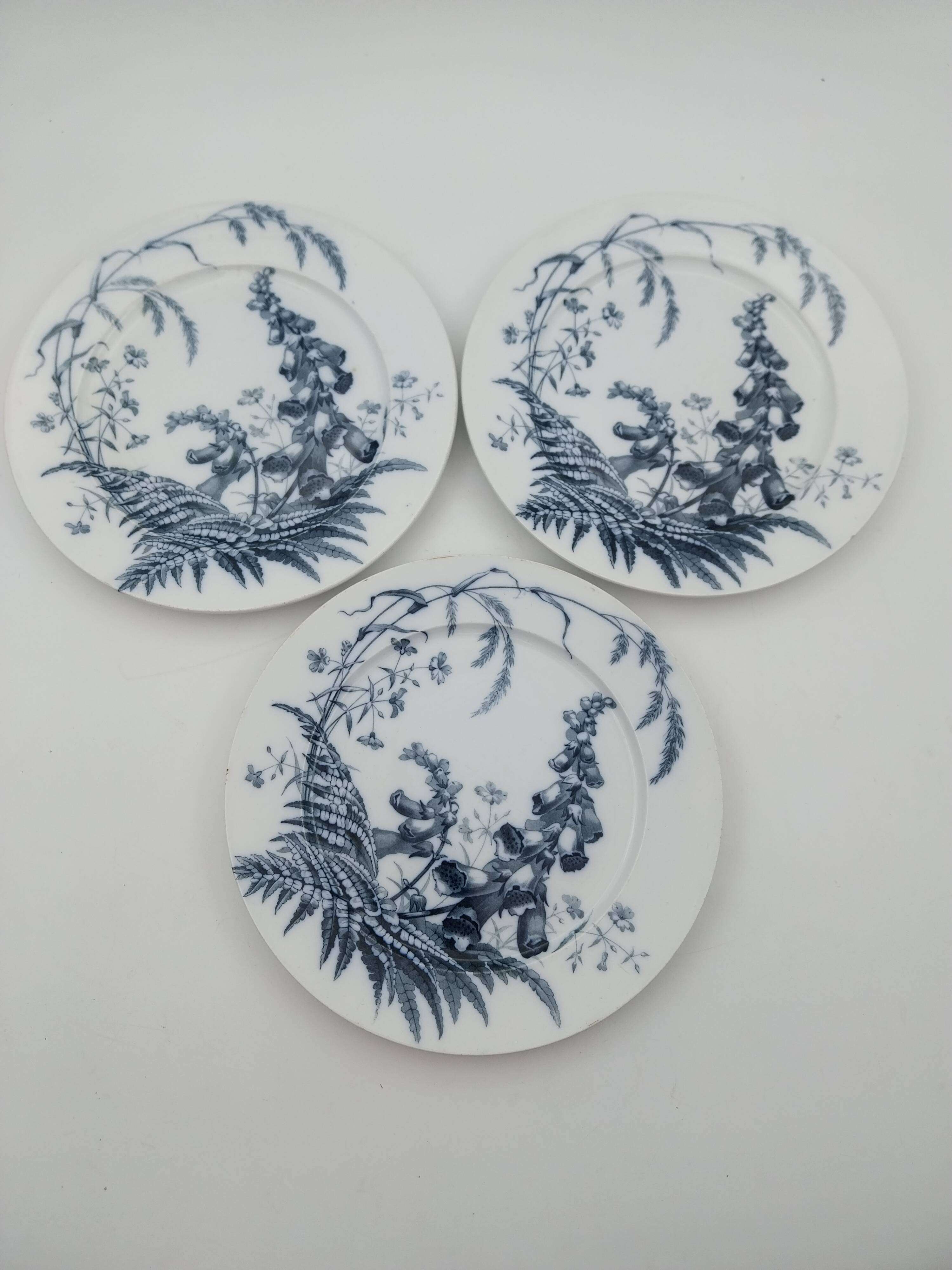 3 Brown Westhead Moore field flowers dinner plates