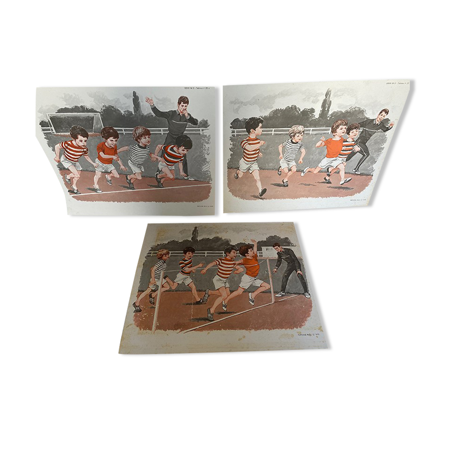 Set of 3 posters Animals & sport