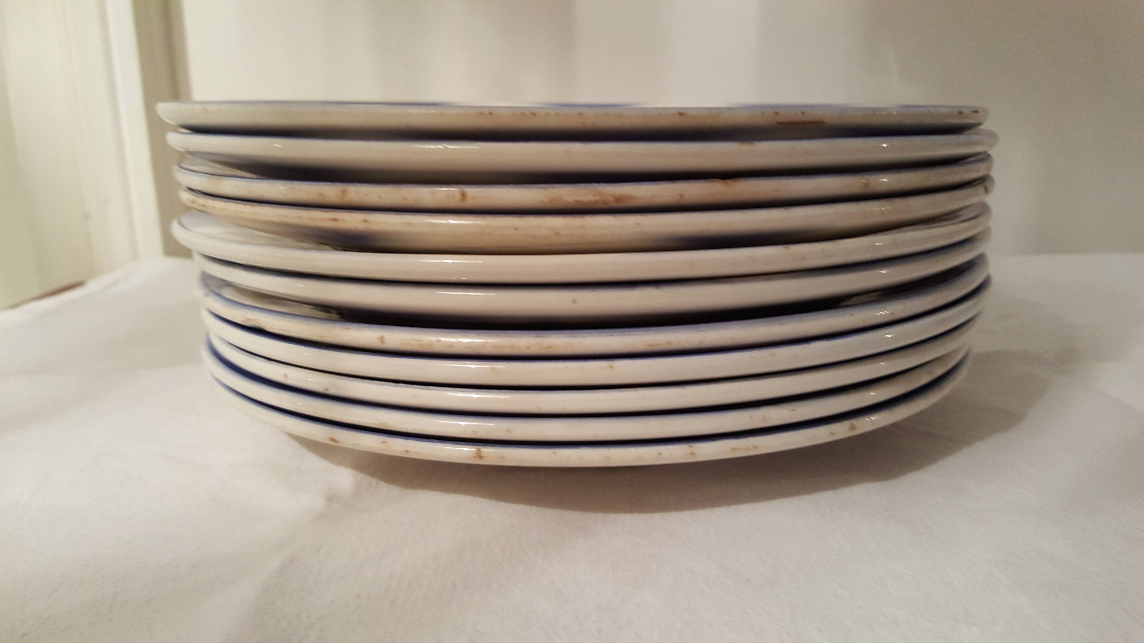 Corsica Digoin Sarreguemines Plates France