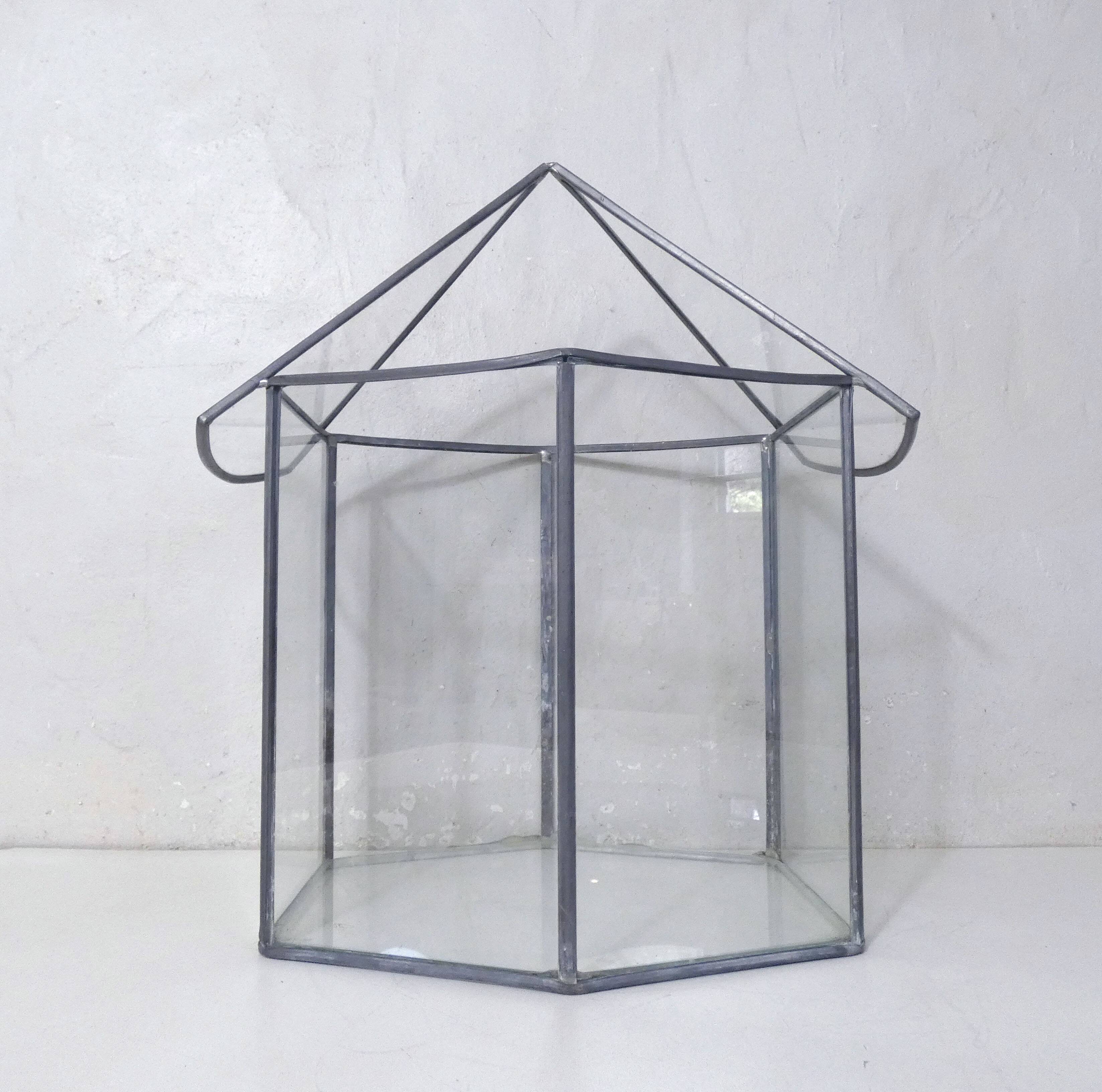 Glass terrarium mini cactus greenhouse in glass and metal