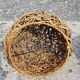 Round wicker wall lamp