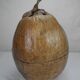 Old vintage decorative coconut ice cube bucket