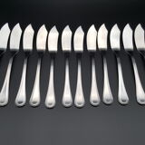 Cutlery service fish Jean Couzon Goldsmith stainless 26 pieces