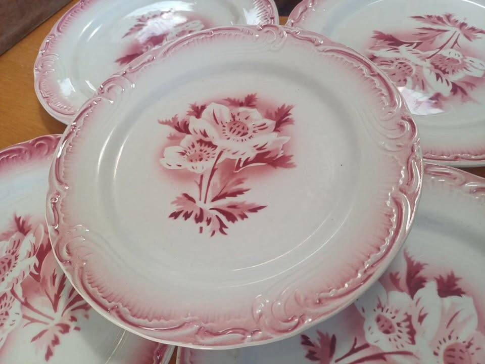 Lot of 5 antique opaque porcelain plates.