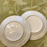 2 plates