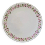 Limoges porcelain plate