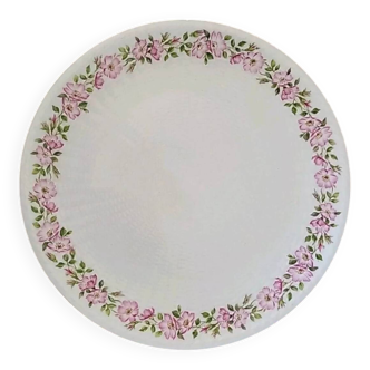 Limoges porcelain plate