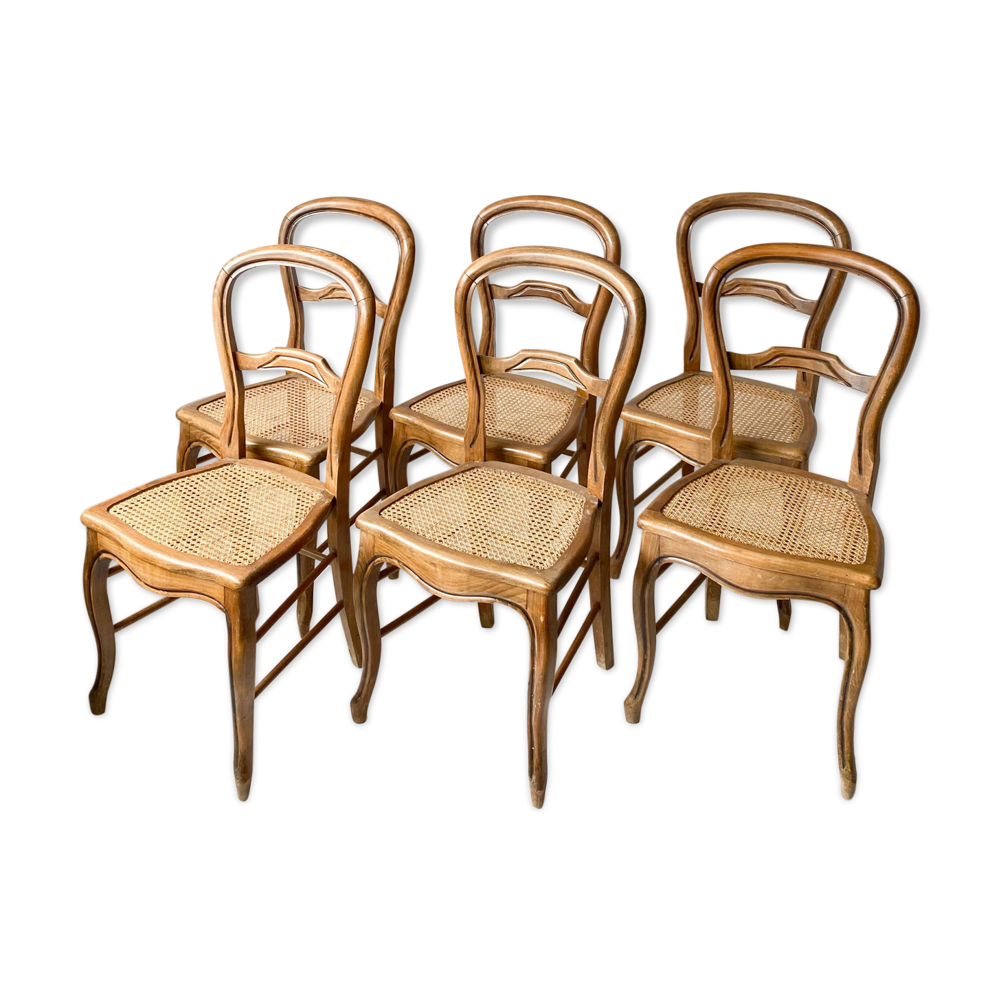 Suite chairs campaign caning