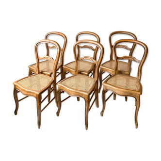 Suite chairs campaign caning