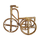 Rattan tricycle plant door