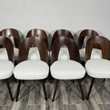 Dining Chairs by Antonin Suman, 1960s, Set of 8