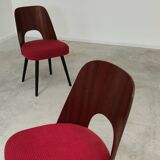 Pair of 515 -2 chairs by Oswald Haerdtl for Ton (Thonet) 1950