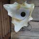 Bedside lamp living room metal tulip paste old vintage glass
