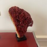 Grand corail Tubipora Musica vintage