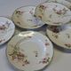 6 deep plates in Limoges porcelain in very good condition.