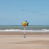 Petit Poisson