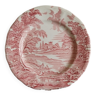 Decorative plate English style rose