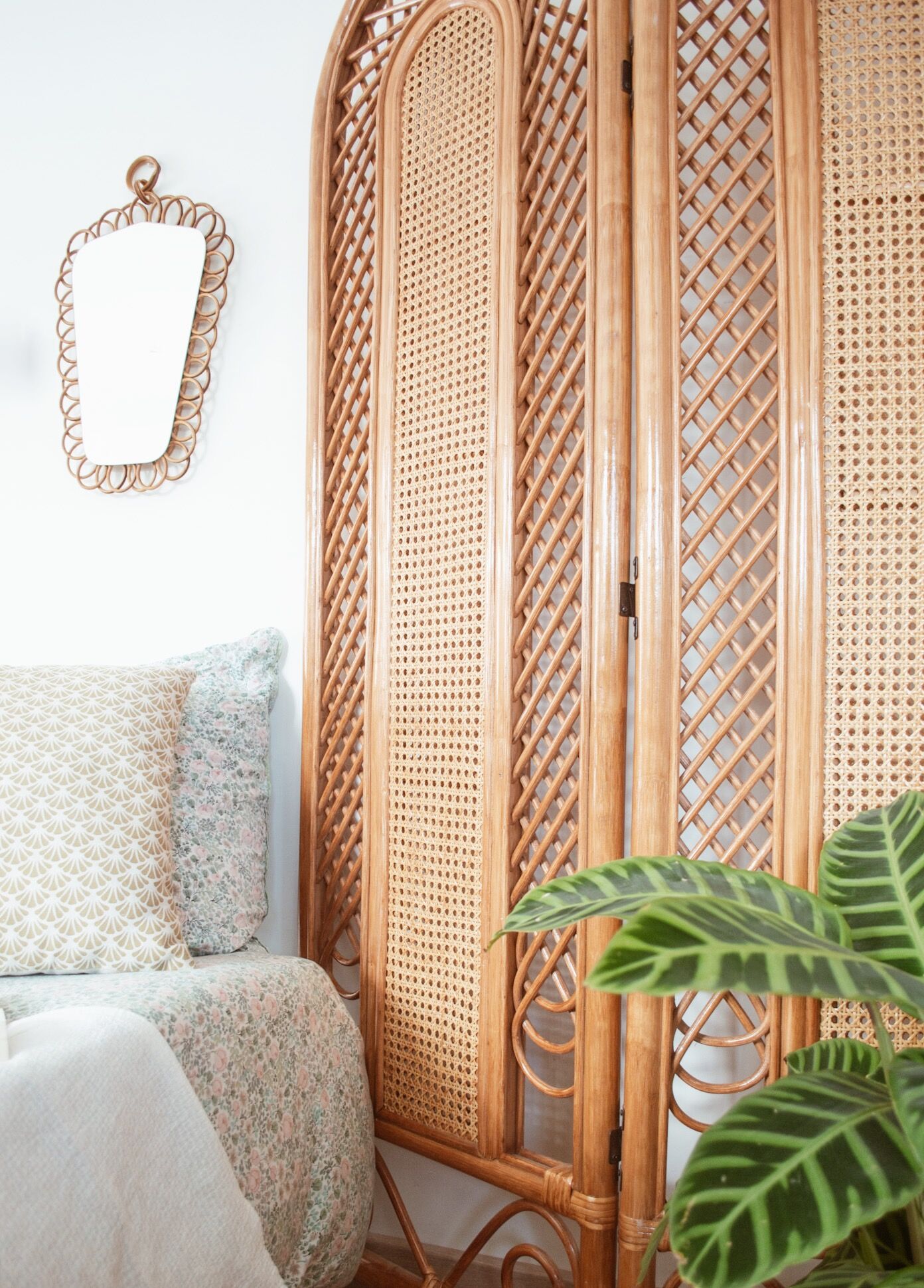 Rattan and cannage screen