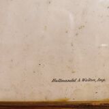 Gould lithograph enhanced hand hummingbird