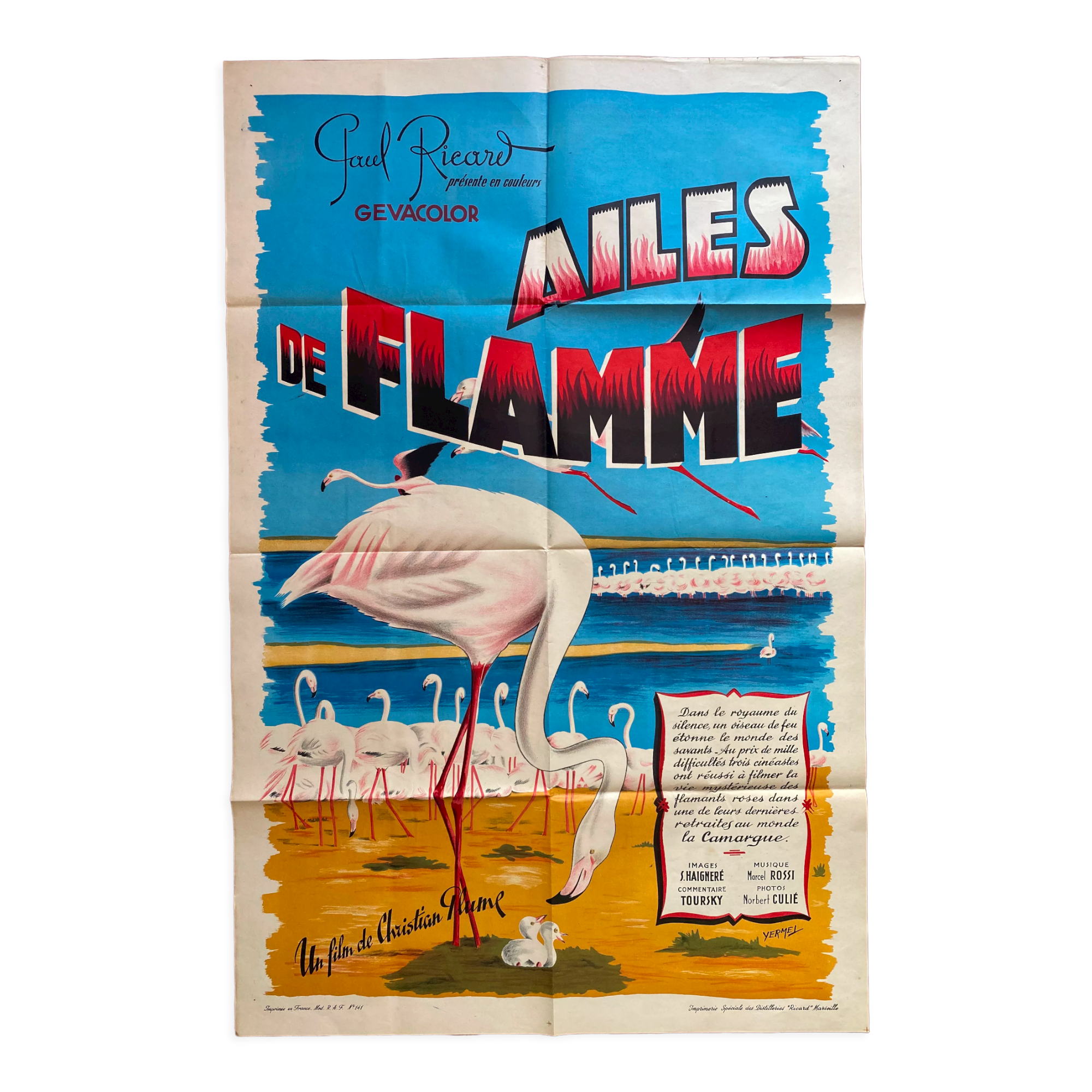 Original cinema poster "Wings of Flame" Camargue 65x100cm 1965