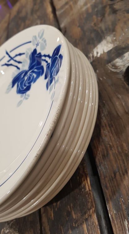 Lot 10 plates Badonviller models Roses