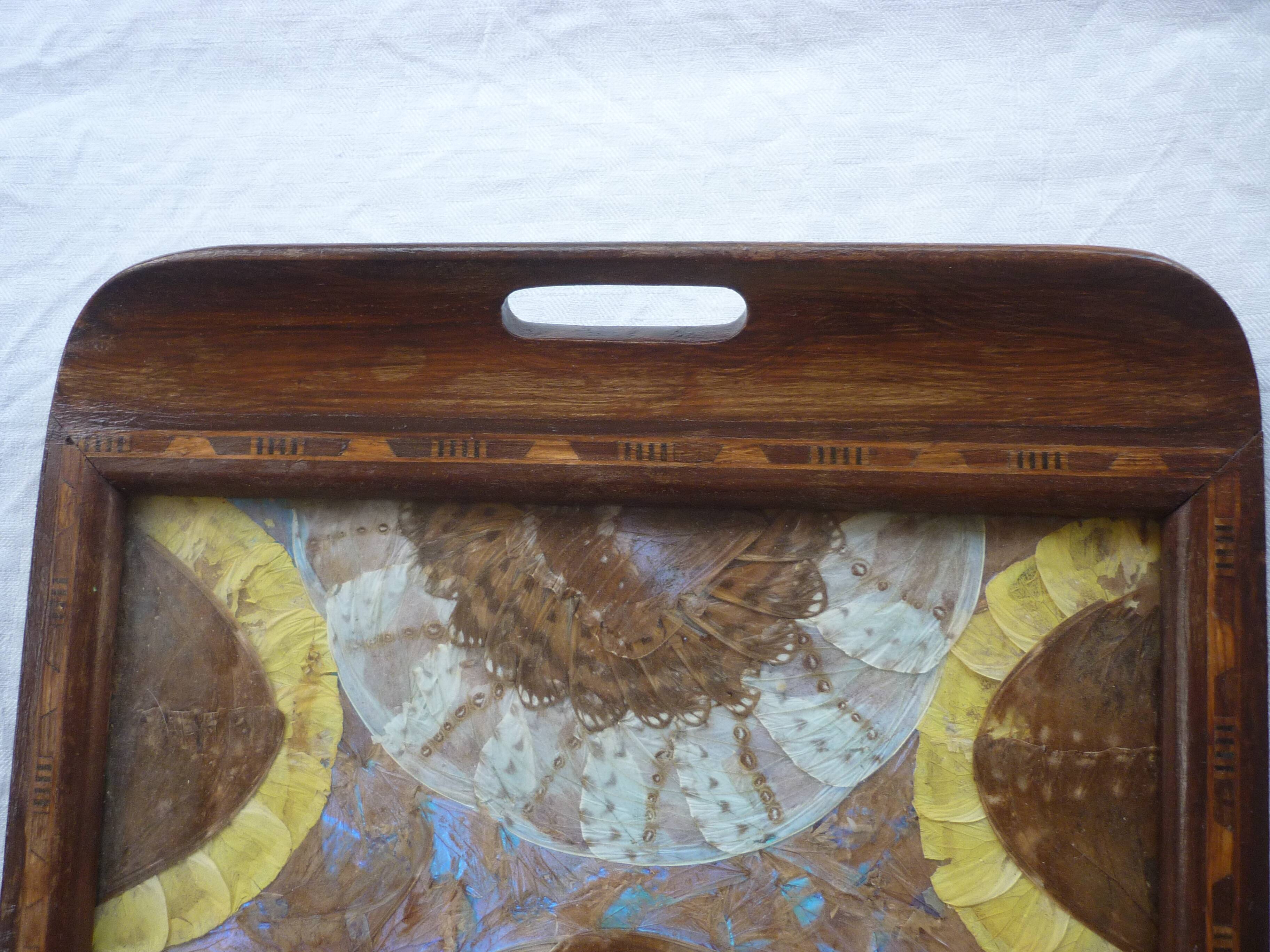 Butterfly wing top and wood marquetry