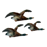 Mid century graduating flying ducks