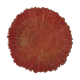 Coral vintage deco