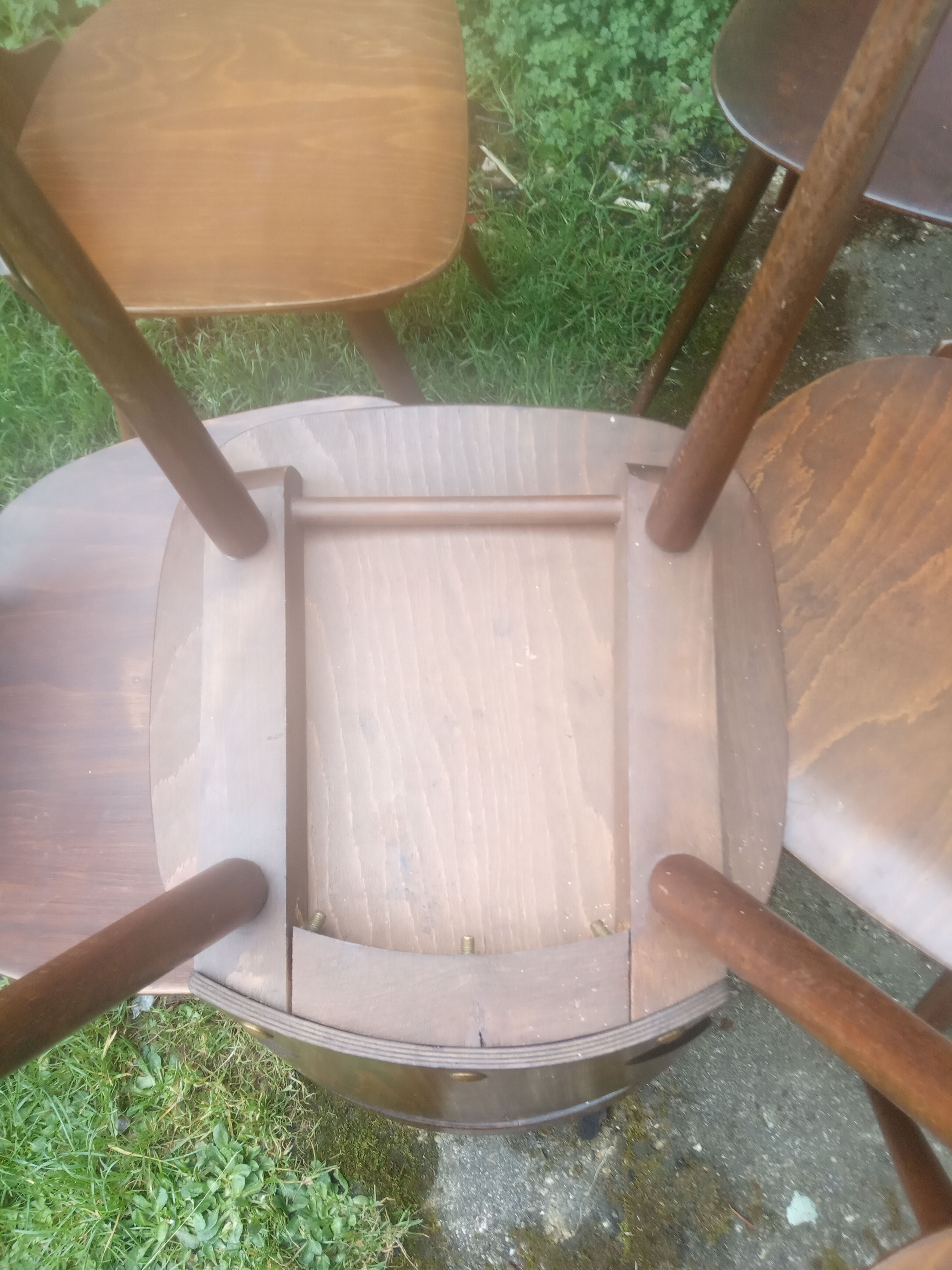 Lot de 6 chaises bistrot Baumann modèle "Fourmi"