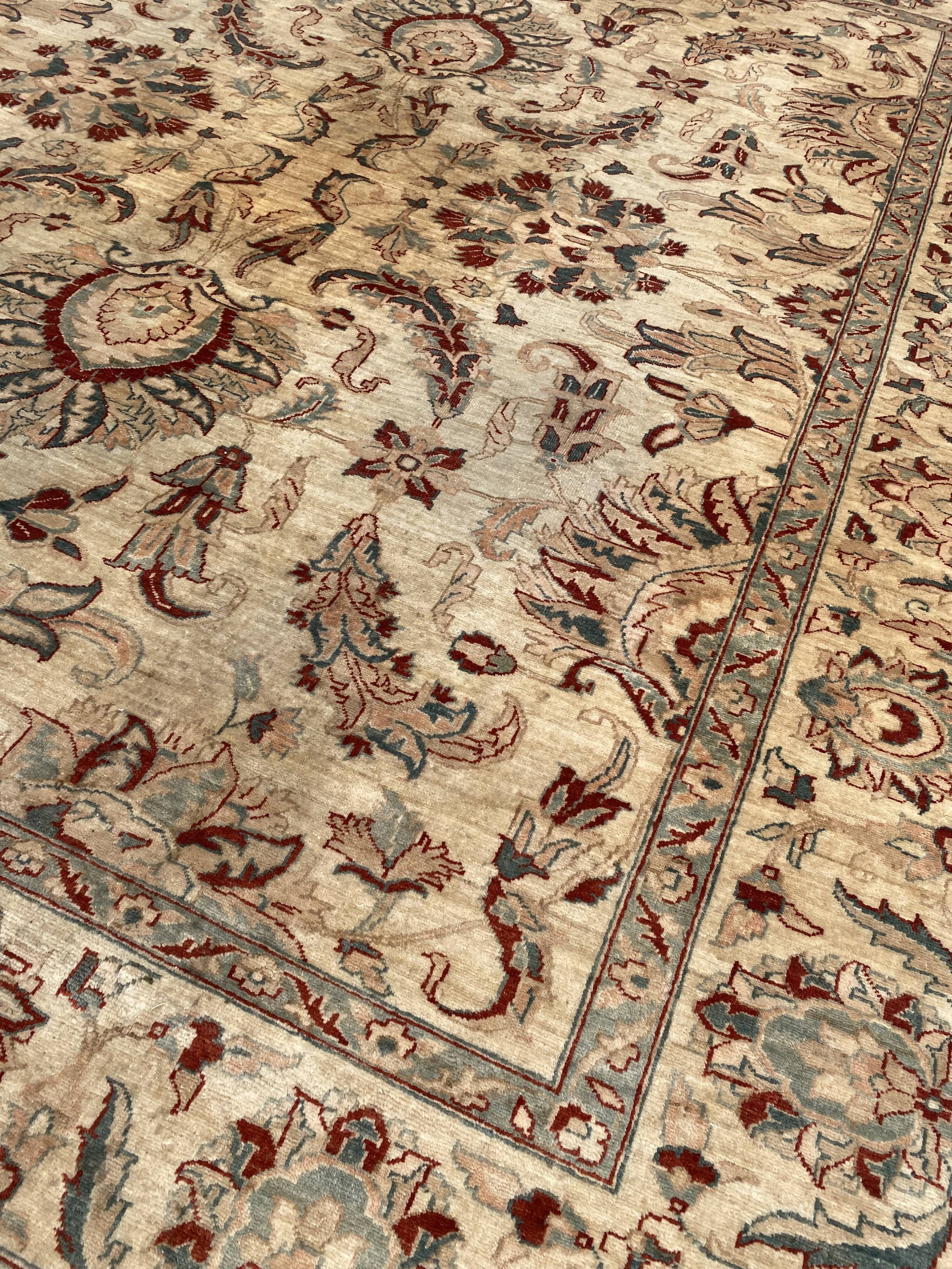 Contemporary carpet Chobi Afghan handmade 250x290 cm