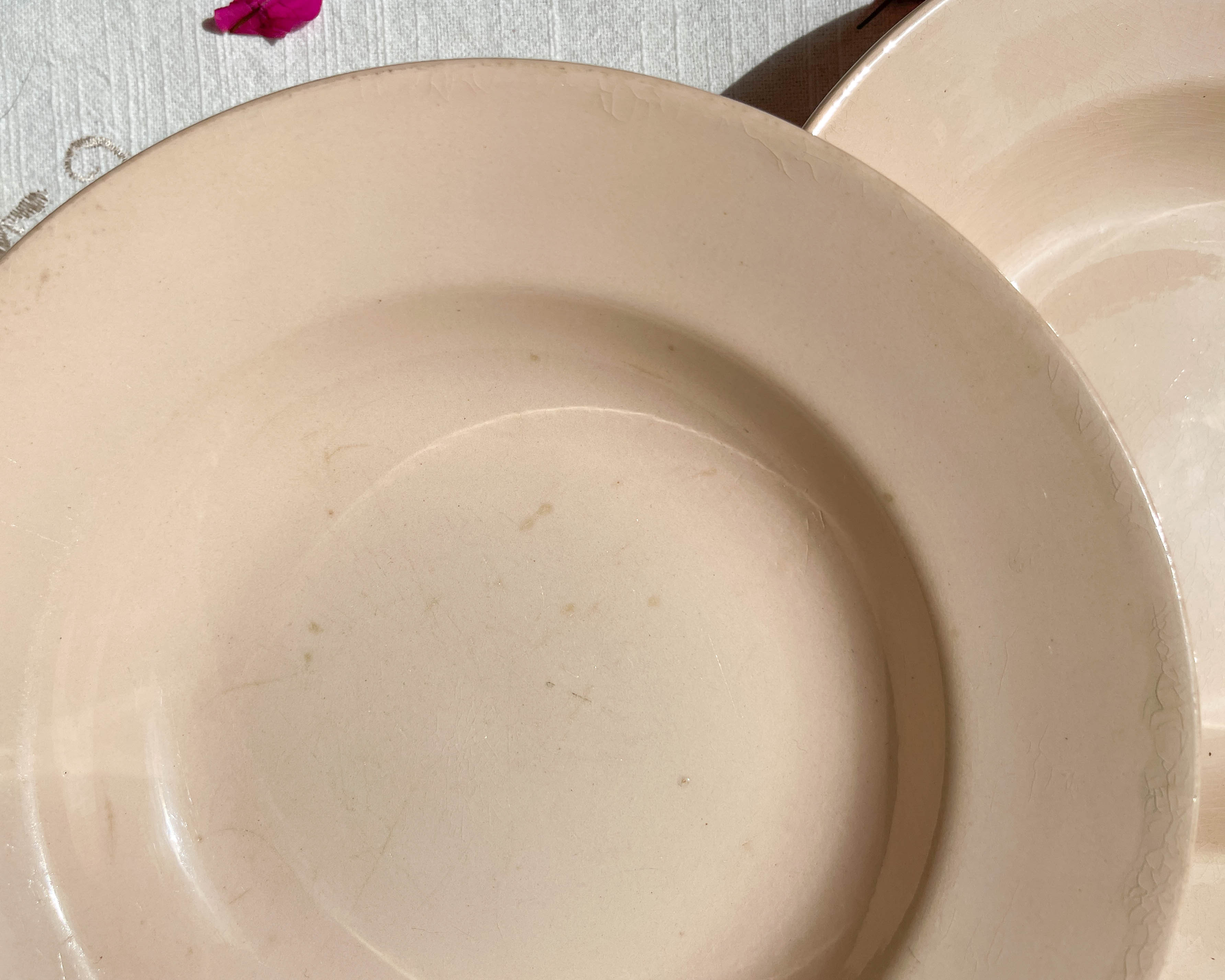6 assiettes creuses rose digoin sarreguemines