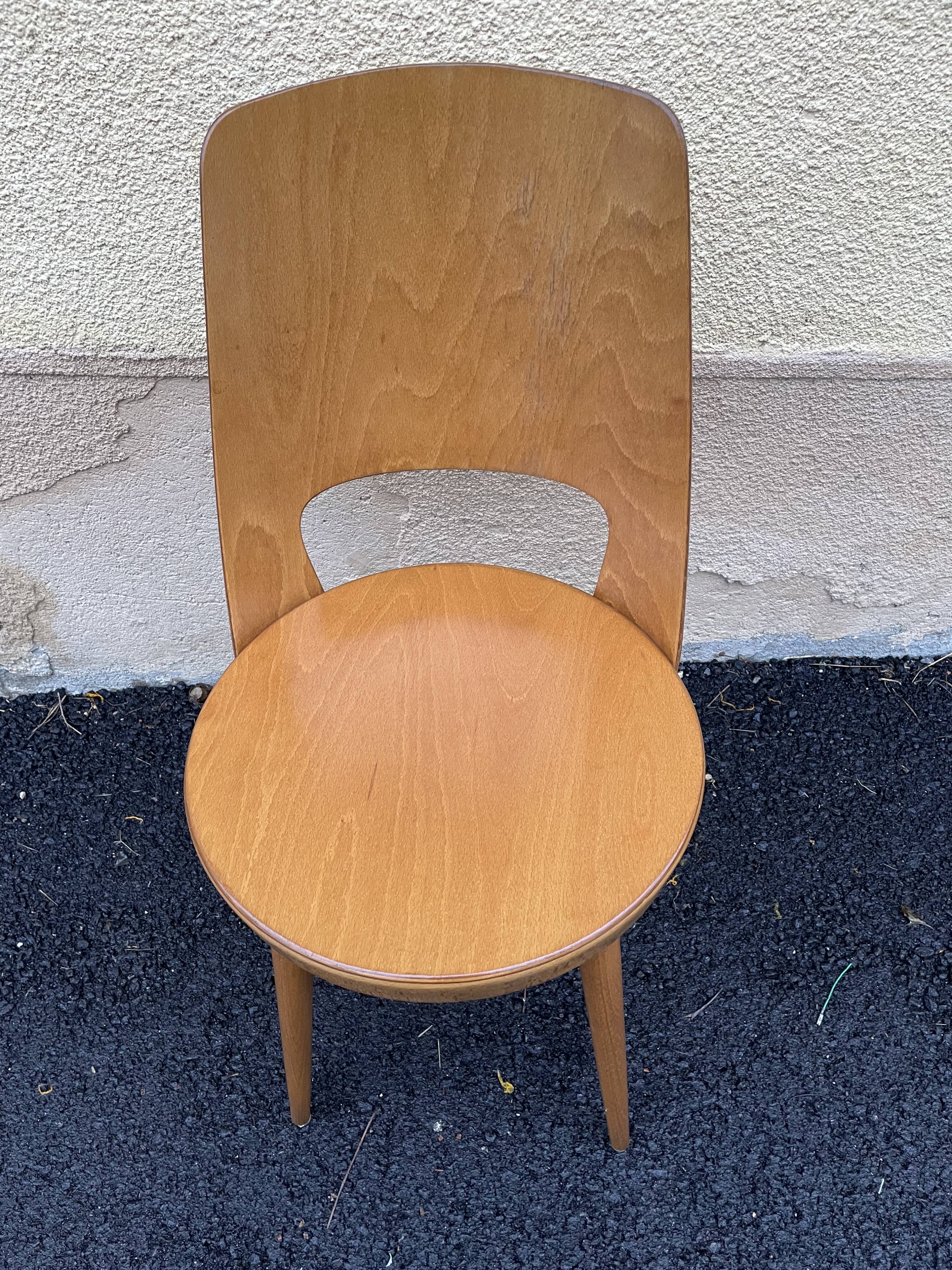 Baumann chairs "mondor"