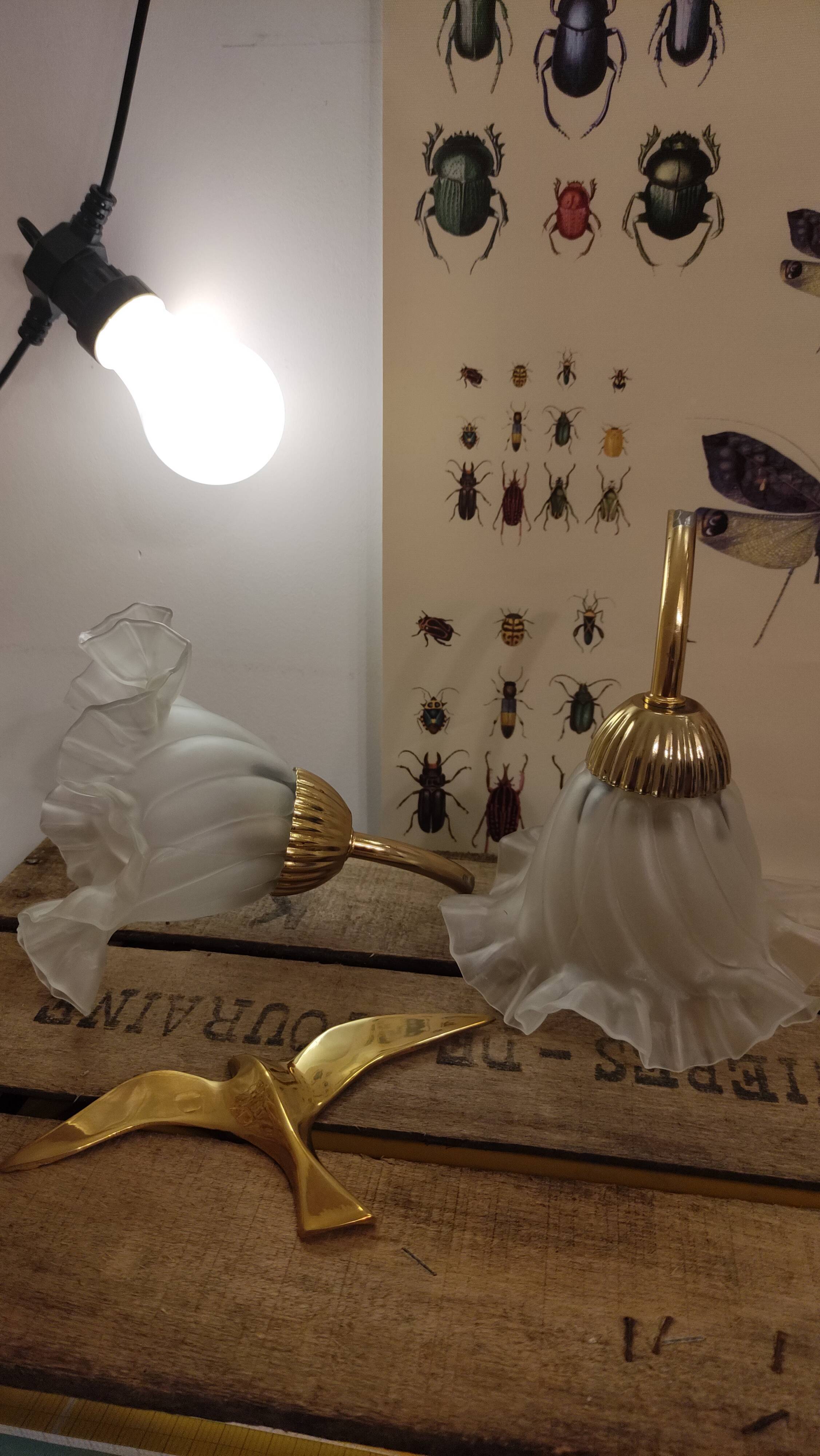 Duo of lampshade, art deco tulip globe