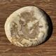 Small pocket tray or dish in speckled beige petrified wood D20 -3309