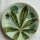 Antique barbotine plate from Salins