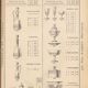 6 Vierzon Thouvenin champagne glasses