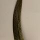 Paper cut or bronze letter opener