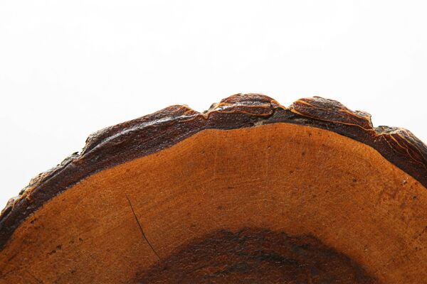 Tabouret rustique en tronc d'arbre, France années 1940