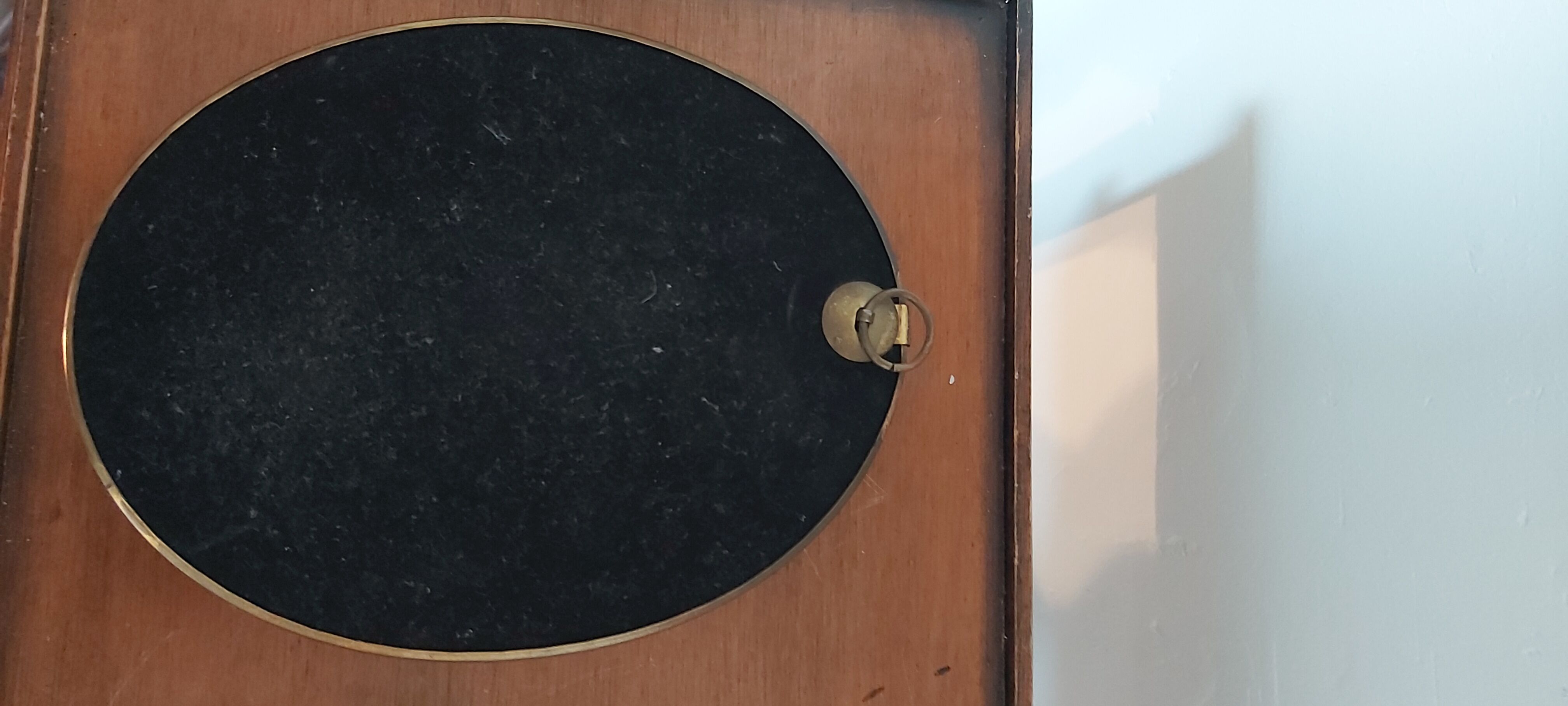 3 frames of dried flowers in curved glass